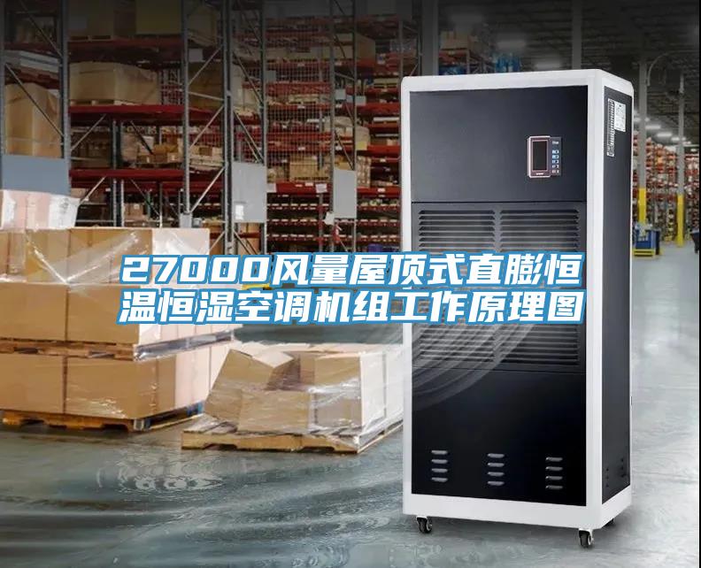 27000風(fēng)量屋頂式直膨恒溫恒濕空調機組工作原理圖
