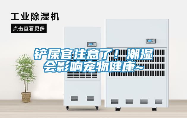 鏟屎官注意了！潮濕會(huì )影響寵物健康~