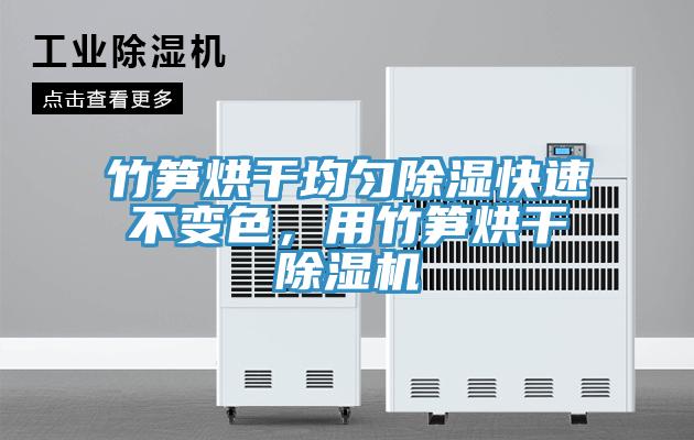 竹筍烘干均勻除濕快速不變色，用竹筍烘干除濕機