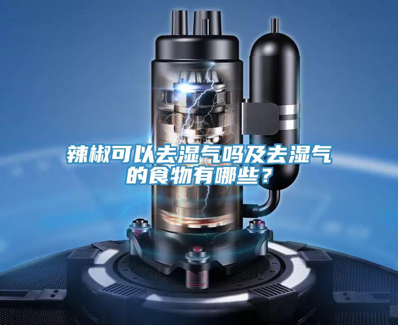 辣椒可以去濕氣嗎及去濕氣的食物有哪些？