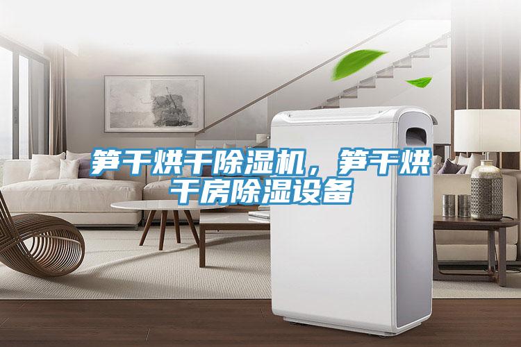 筍干烘干除濕機，筍干烘干房除濕設備