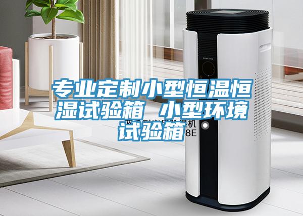 專(zhuān)業(yè)定制小型恒溫恒濕試驗箱 小型環(huán)境試驗箱
