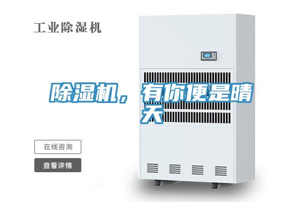 除濕機，有你便是晴天