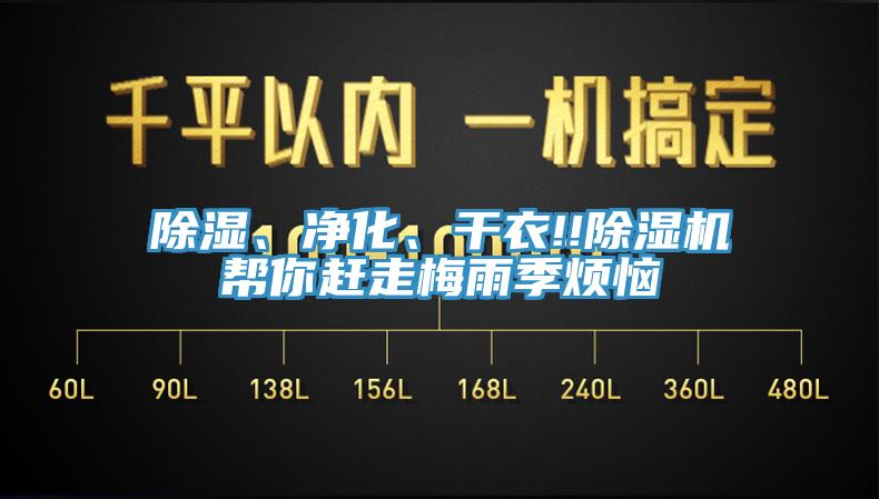 除濕、凈化、干衣!!除濕機幫你趕走梅雨季煩惱