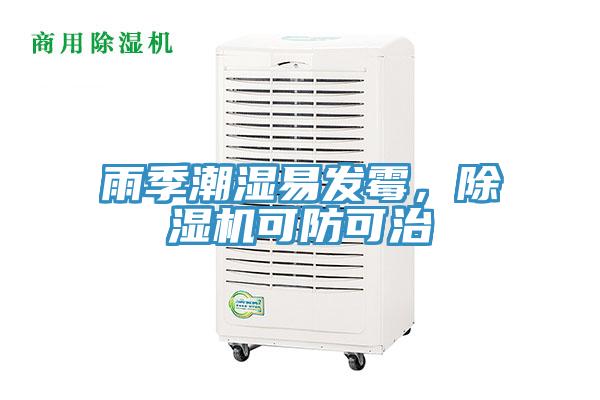 雨季潮濕易發(fā)霉，除濕機可防可治