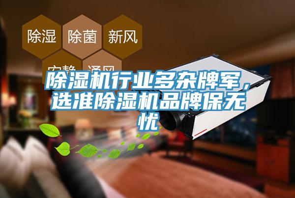 除濕機行業(yè)多雜牌軍，選準除濕機品牌保無(wú)憂(yōu)