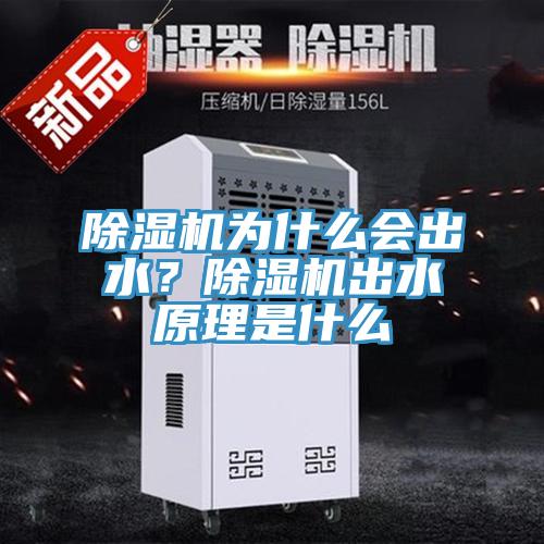 除濕機為什么會(huì )出水？除濕機出水原理是什么