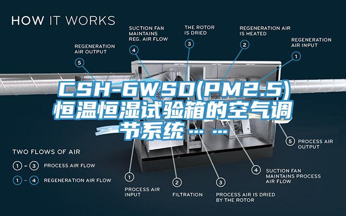 CSH-6WSD(PM2.5)恒溫恒濕試驗箱的空氣調節系統……
