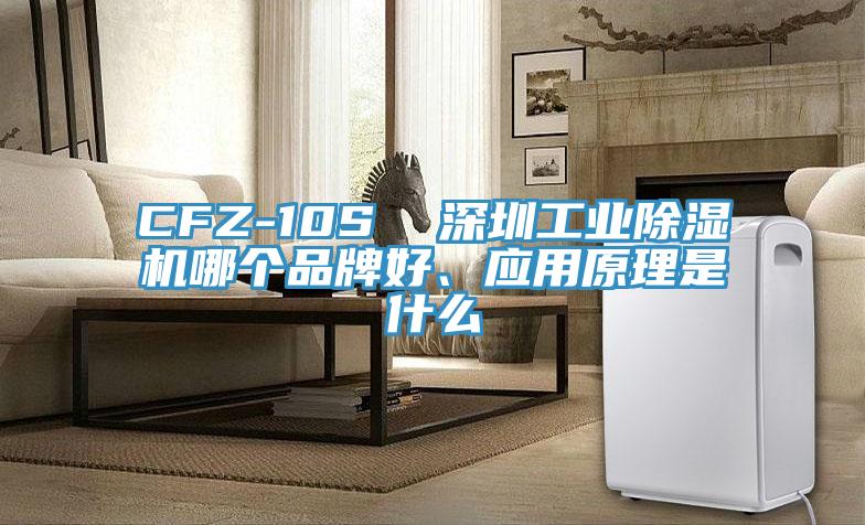 CFZ-10S  深圳工業(yè)除濕機哪個(gè)品牌好、應用原理是什么