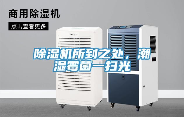 除濕機所到之處，潮濕霉菌一掃光