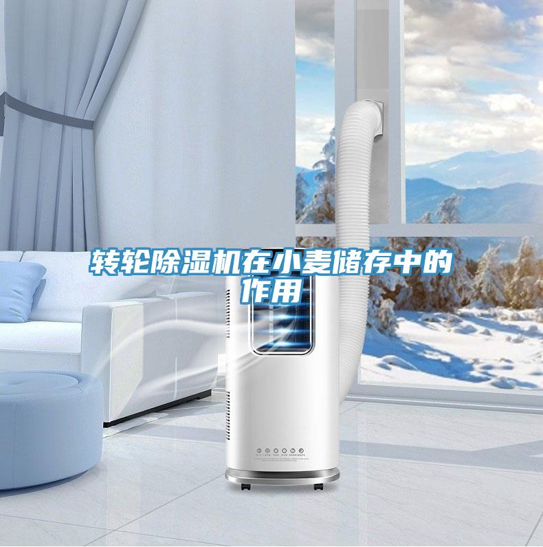 轉輪除濕機在小麥儲存中的作用