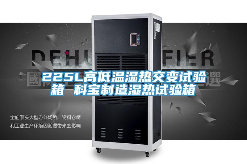 225L高低溫濕熱交變試驗箱 科寶制造濕熱試驗箱
