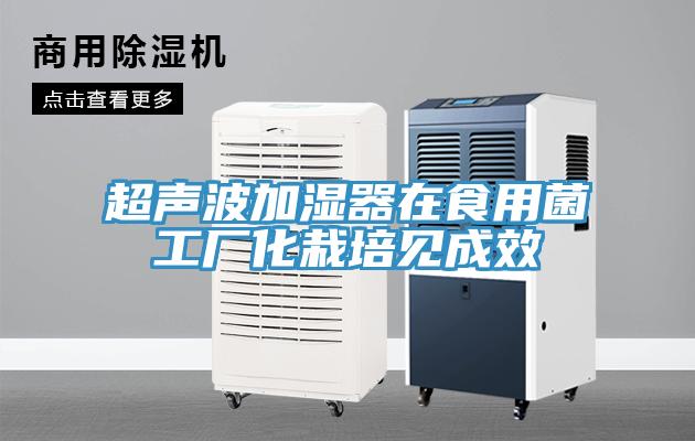 超聲波加濕器在食用菌工廠(chǎng)化栽培見(jiàn)成效