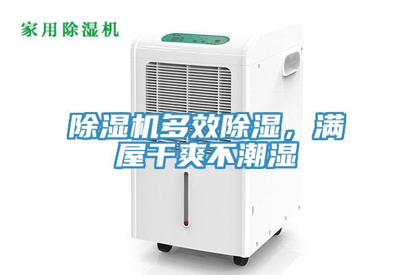 除濕機多效除濕，滿(mǎn)屋干爽不潮濕