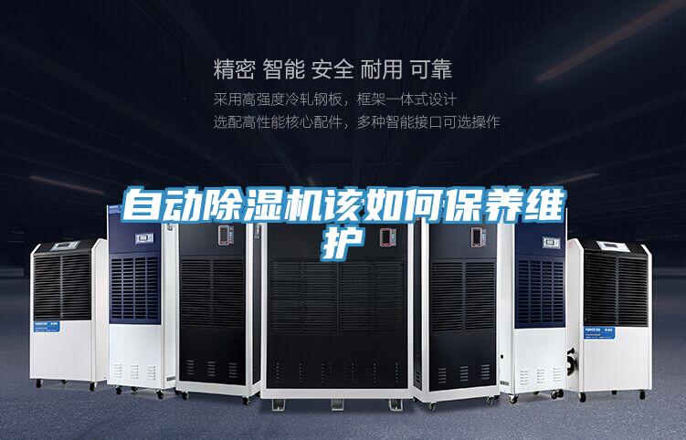 自動(dòng)除濕機該如何保養維護