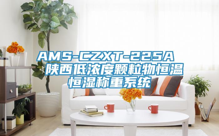 AMS-CZXT-225A  陜西低濃度顆粒物恒溫恒濕稱(chēng)重系統