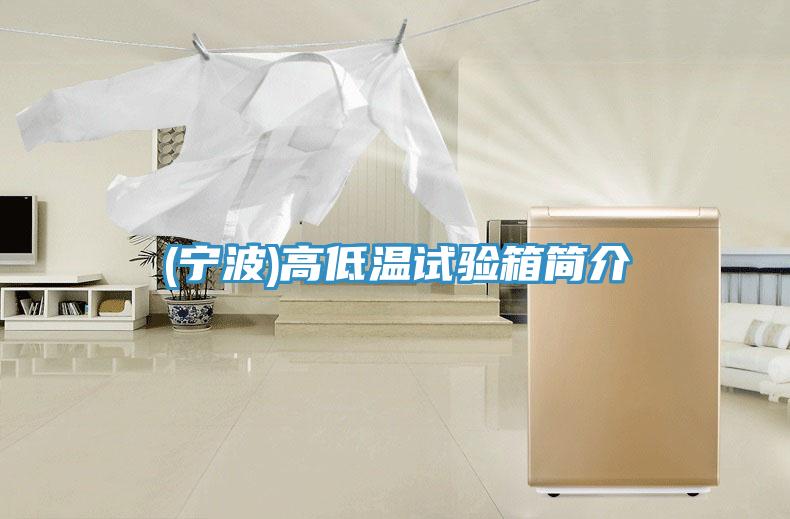 (寧波)高低溫試驗箱簡(jiǎn)介