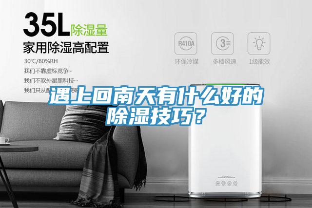 遇上回南天有什么好的除濕技巧？