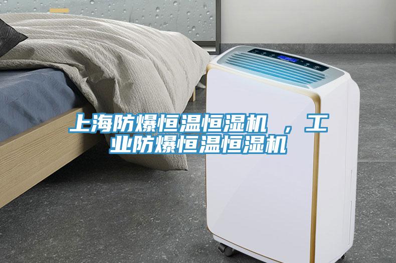 上海防爆恒溫恒濕機 ，工業(yè)防爆恒溫恒濕機