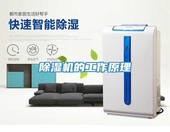 除濕機的工作原理