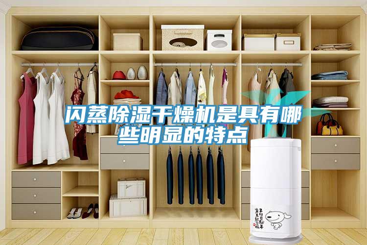 閃蒸除濕干燥機是具有哪些明顯的特點(diǎn)