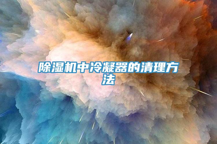 除濕機中冷凝器的清理方法