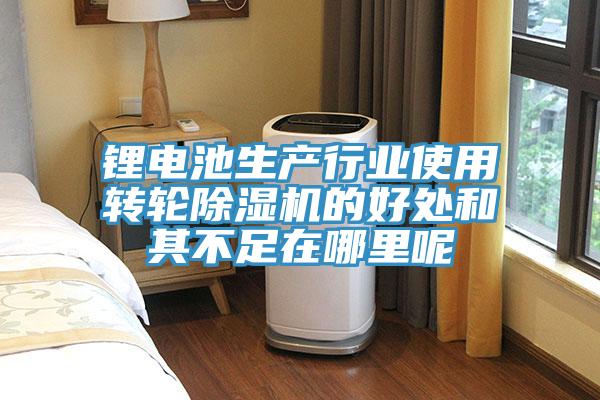 鋰電池生產(chǎn)行業(yè)使用轉輪除濕機的好處和其不足在哪里呢