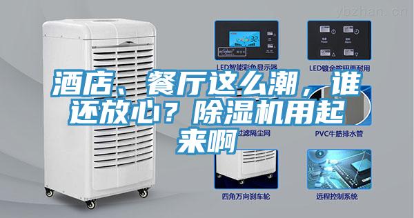 酒店、餐廳這么潮，誰(shuí)還放心？除濕機用起來(lái)啊