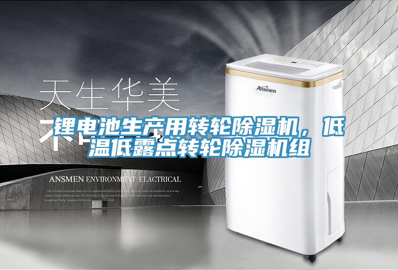 鋰電池生產(chǎn)用轉輪除濕機，低溫低露點(diǎn)轉輪除濕機組