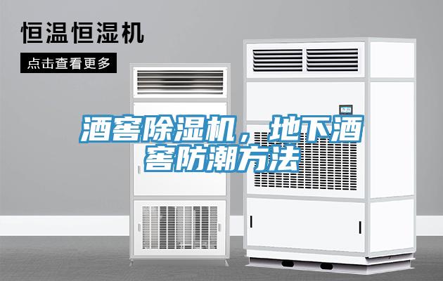 酒窖除濕機，地下酒窖防潮方法
