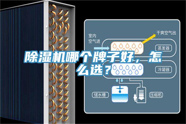 除濕機哪個(gè)牌子好，怎么選？