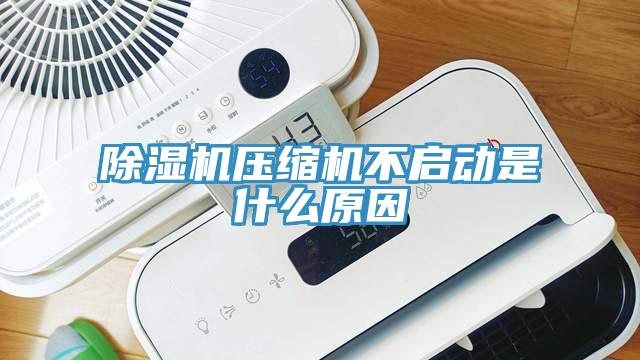 除濕機壓縮機不啟動(dòng)是什么原因