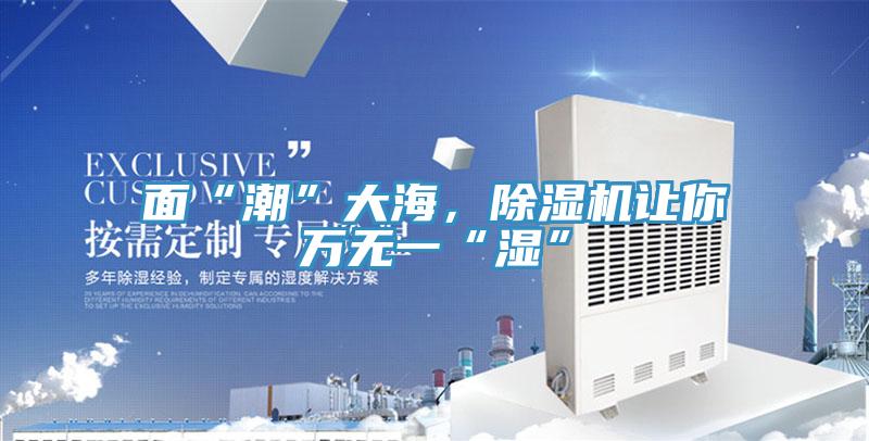 面“潮”大海，除濕機讓你萬(wàn)無(wú)一“濕”