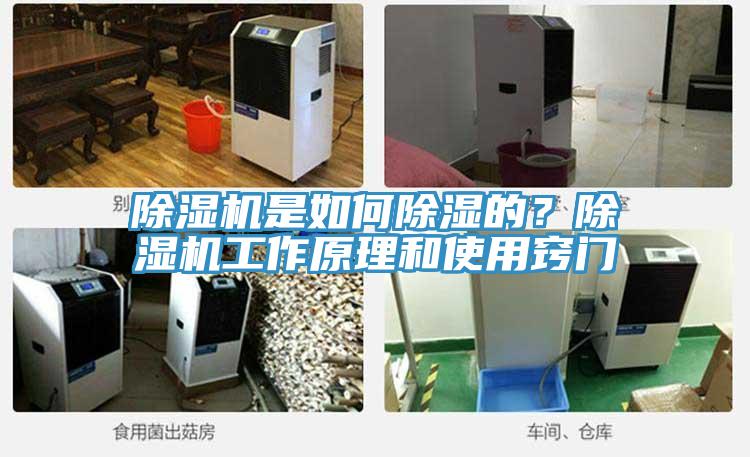 除濕機是如何除濕的？除濕機工作原理和使用竅門(mén)