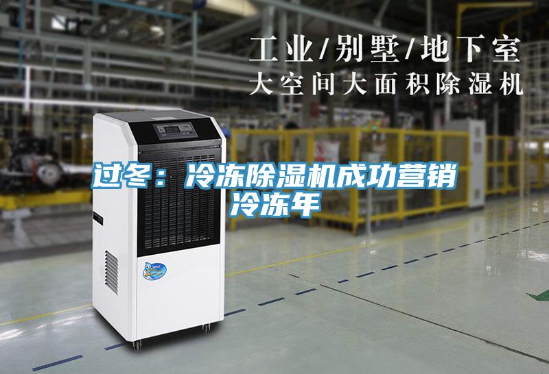 過(guò)冬：冷凍除濕機成功營(yíng)銷(xiāo)冷凍年