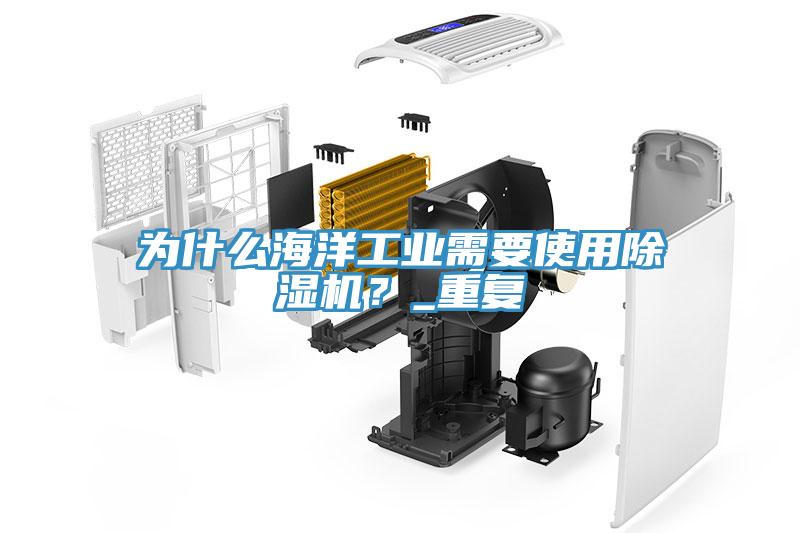 為什么海洋工業(yè)需要使用除濕機？_重復