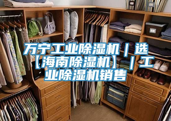萬(wàn)寧工業(yè)除濕機｜選【海南除濕機】｜工業(yè)除濕機銷(xiāo)售