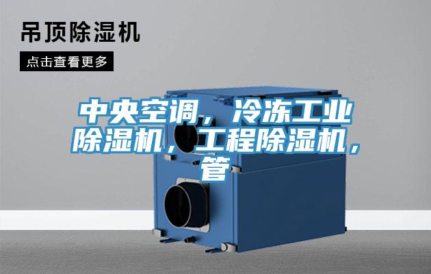 中央空調，冷凍工業(yè)除濕機，工程除濕機，管