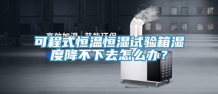 可程式恒溫恒濕試驗箱濕度降不下去怎么辦？