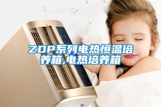 ZDP系列電熱恒溫培養箱,電熱培養箱