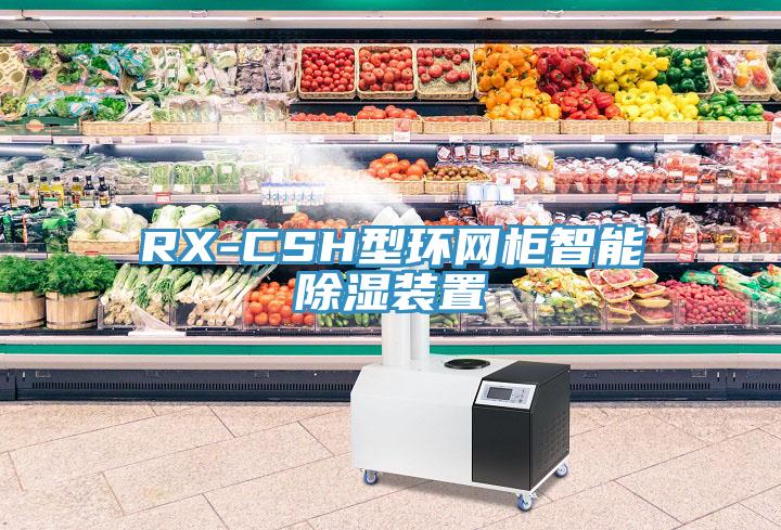 RX-CSH型環(huán)網(wǎng)柜智能除濕裝置