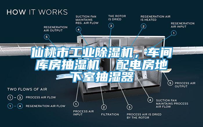 仙桃市工業(yè)除濕機，車(chē)間庫房抽濕機  配電房地下室抽濕器