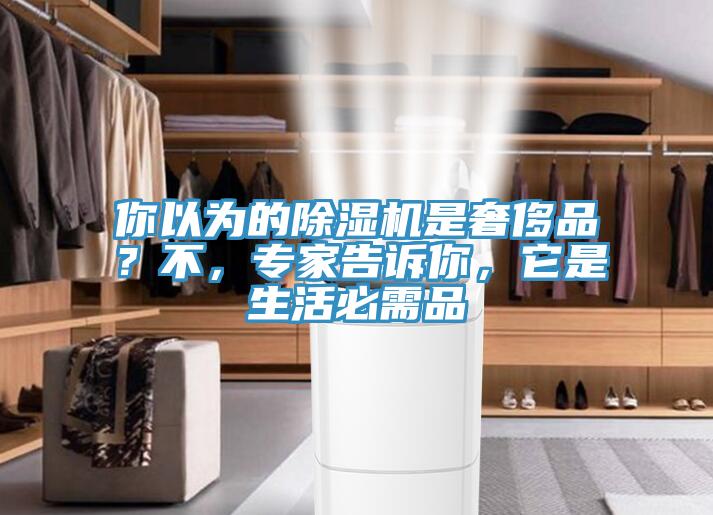 你以為的除濕機是奢侈品？不，專(zhuān)家告訴你，它是生活必需品