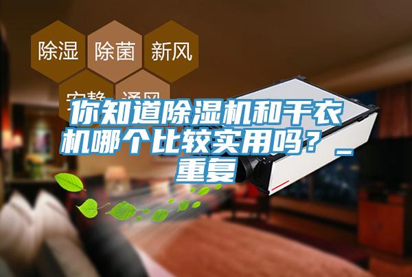 你知道除濕機和干衣機哪個(gè)比較實(shí)用嗎？_重復