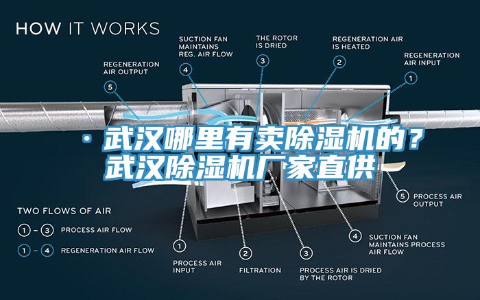 ·武漢哪里有賣(mài)除濕機的？武漢除濕機廠(chǎng)家直供