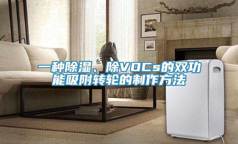 一種除濕、除VOCs的雙功能吸附轉輪的制作方法