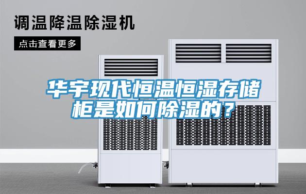華宇現代恒溫恒濕存儲柜是如何除濕的？