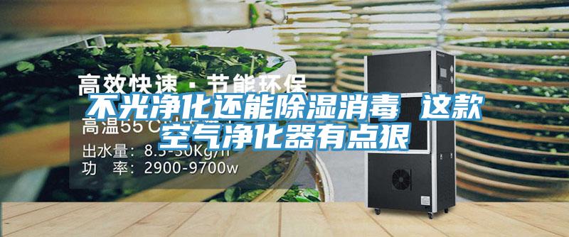 不光凈化還能除濕消毒 這款空氣凈化器有點(diǎn)狠