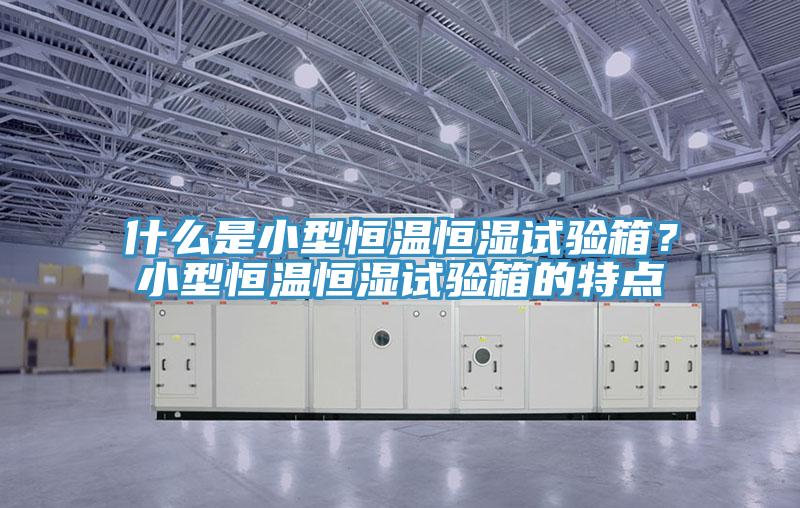 什么是小型恒溫恒濕試驗箱？小型恒溫恒濕試驗箱的特點(diǎn)
