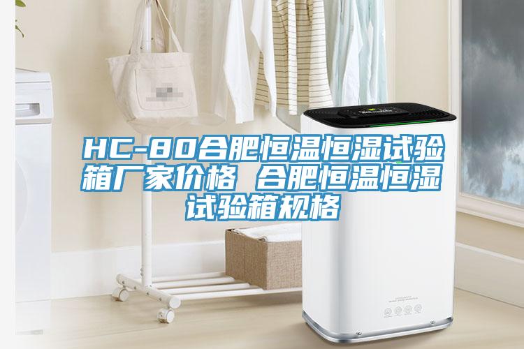 HC-80合肥恒溫恒濕試驗箱廠(chǎng)家價(jià)格 合肥恒溫恒濕試驗箱規格
